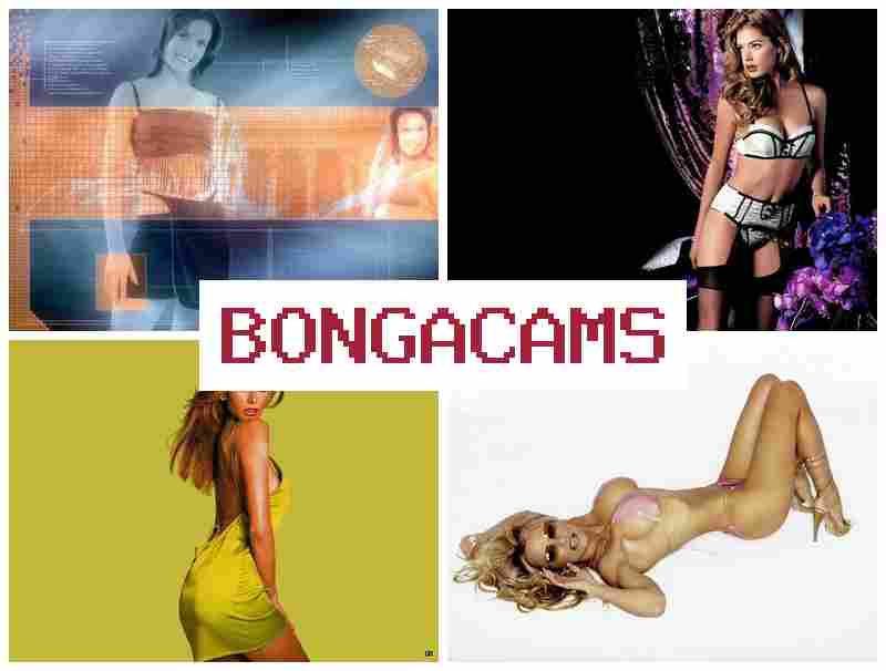 BNGACAMS 💏 Anal Dildo, Webcam Show