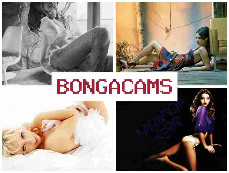 B0NGA CAMS 🎥 Live Video Chat Rooms