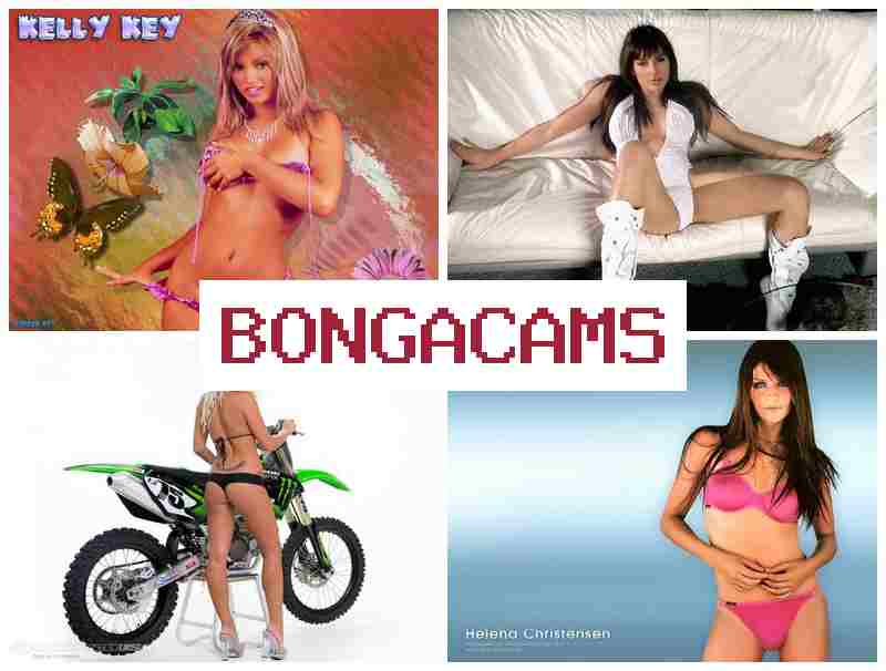 BKNGA CAMS 🎇 Online Webcams Beach