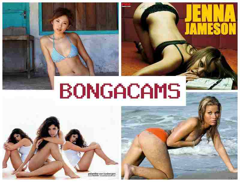 BOHGA CAMS 🔶 Best Webcam Models,