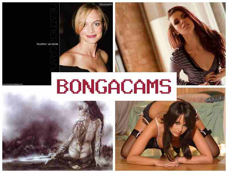 BOJGA CAMS 📹 BBC Webcam Porn