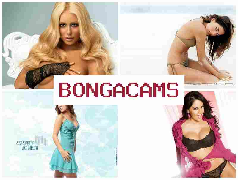 BOMGA CAMS 💕 D Webcam