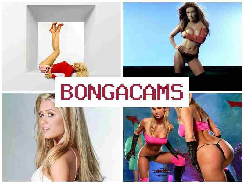 BONHA CAMS 👍 Webcam Web Video