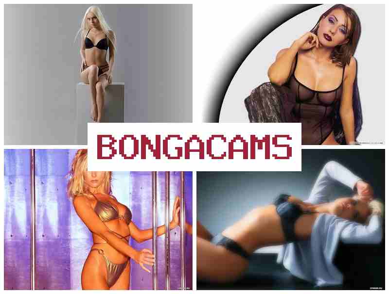 BONGZ CAMS ▓ Rides Dildo, Webcam Girl