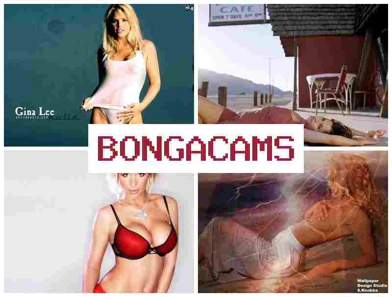 BONGA CWMS 💖 New Webcam Show