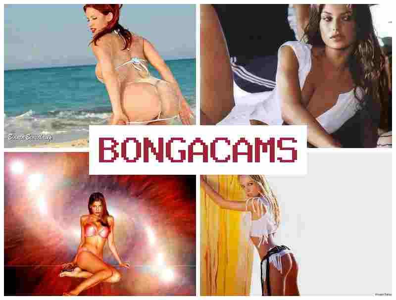 BONGA CSMS 🆓 Girl I Am Webcam
