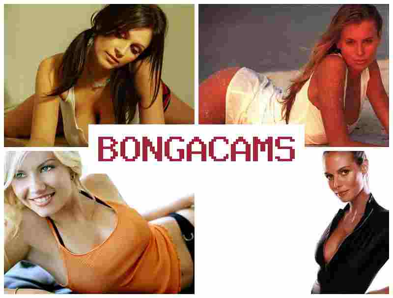 BONGA CANS 🔷 Webcam Sex
