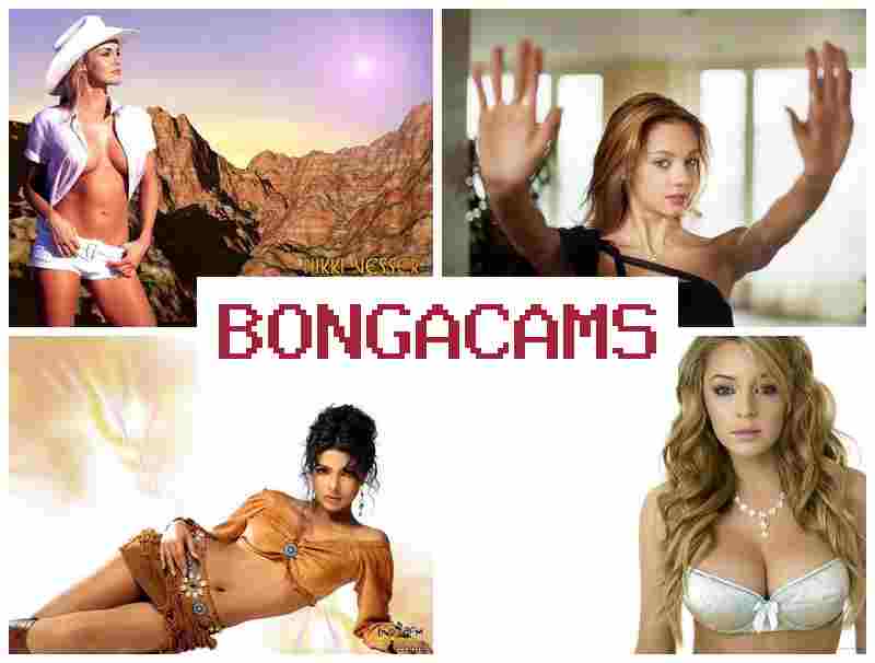 BONGA CAKS ▒ Porno Webcam Solo Masturbate