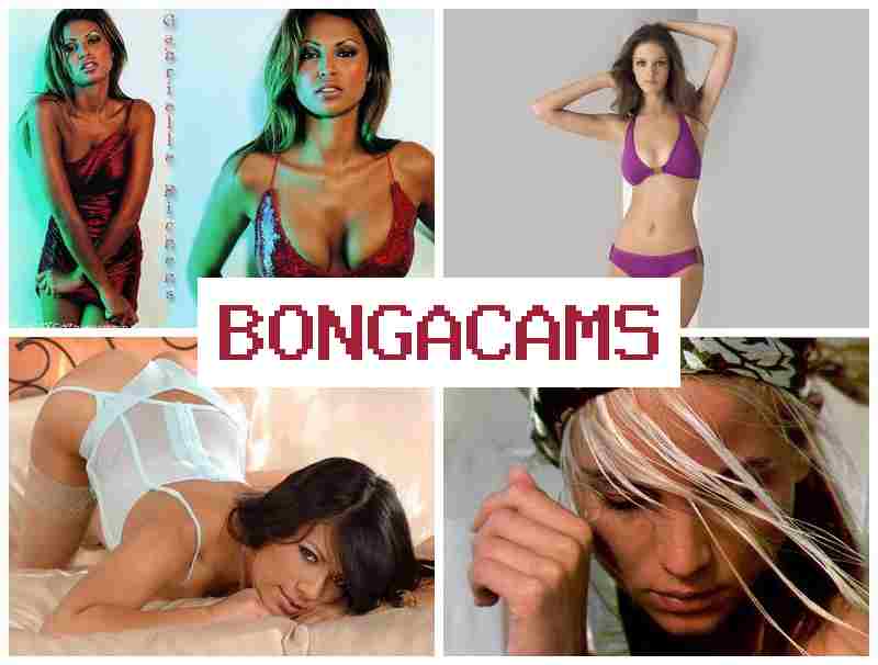 BONGA CA,S 💟 1 Vs 1 Video Chat