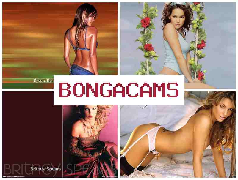 BONGA CAME 🆕 Sex Shop, Webcam