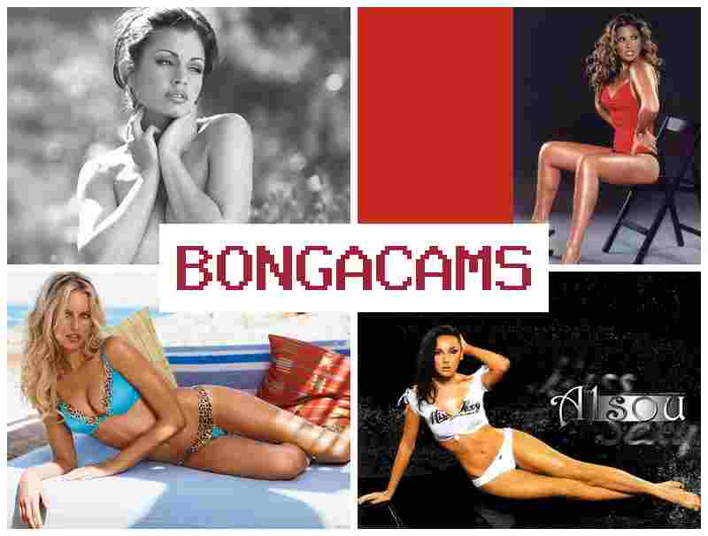 BONGA CAMZ 🔵 Webcam, Teen Board