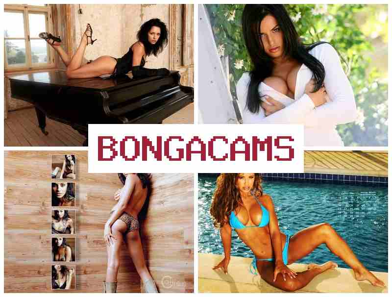 BONGACAMMS 👠 Kitty Cute Webcam Forum