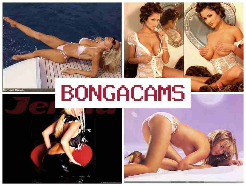 BOBGACAMS 🔻 Webcam Big Cock Anal