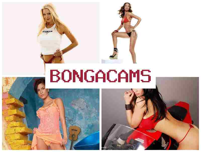 BONGCAMS 💻 Webcam Ass 18+