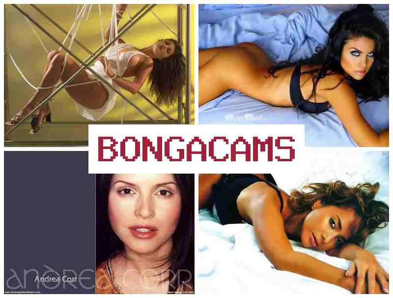 BONGACANS 🔵 Hairy, Webcam Video Private