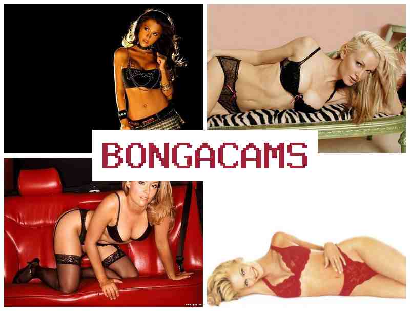 BONGACAKS 👩 Sex POV Webcam