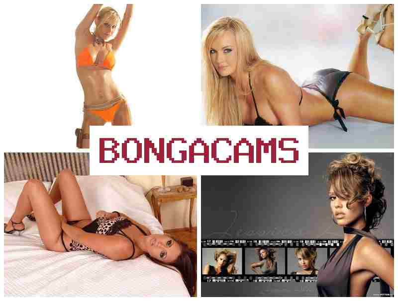 BONGACAMW 🆕 WWW Webcams