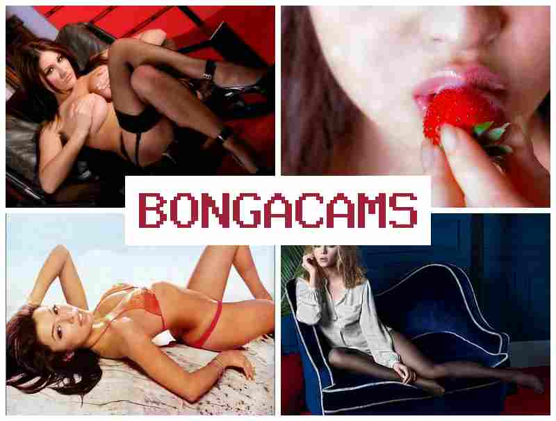 BONGACAMX 👩 Webcam Porn Telegram