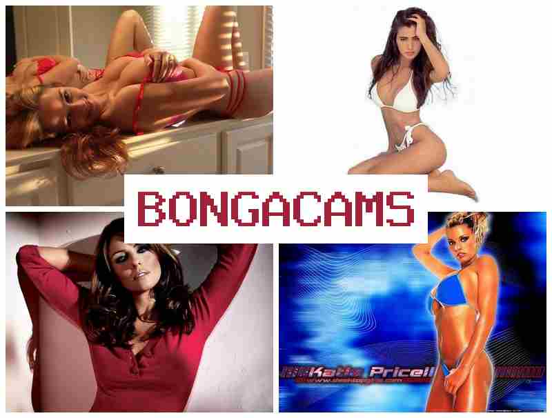 BONGACAS 🆒 Webcam Solo Ride