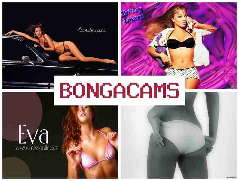 BONGA CMS ✔️ Petite Webcam Porno