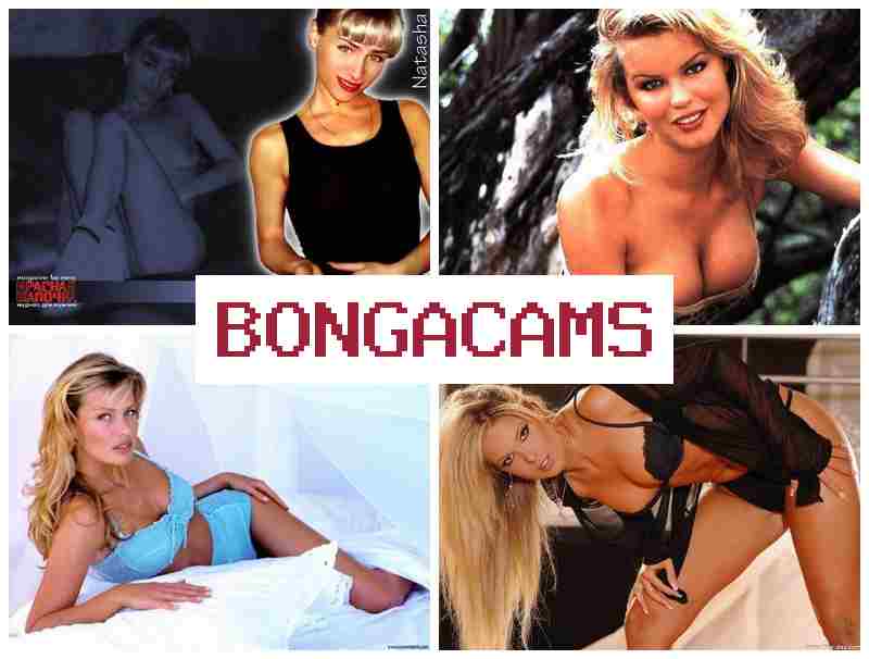BONGA CAM 🔺 Big Tits, Solo Dildo, Webcam