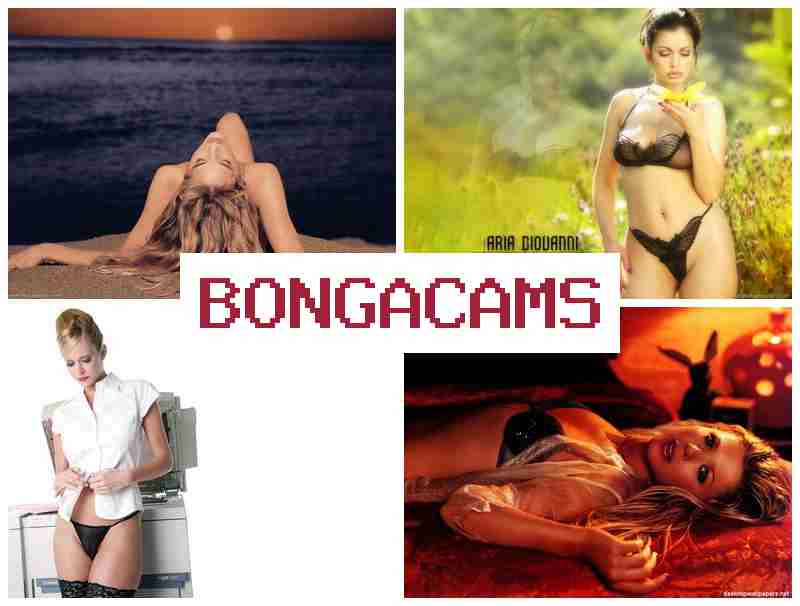 BBONGA CAMS 💑 Group BBW Show Porno Webcam