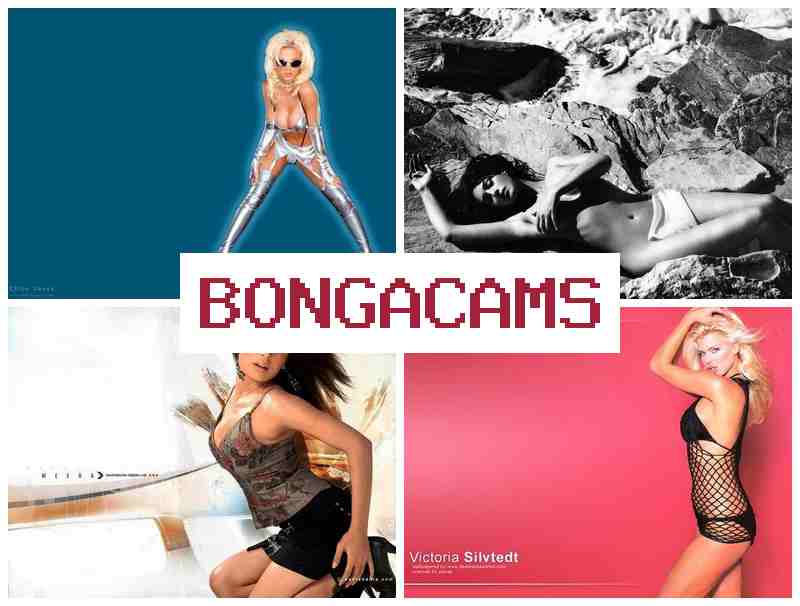 BONNGA CAMS 💞 Webcam, Anal Telegram