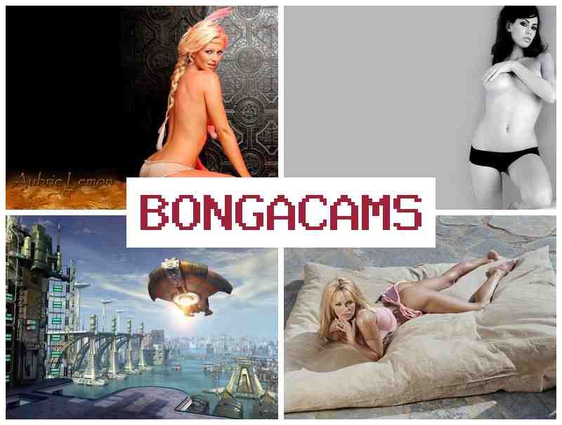 BONGGA CAMS ▒ Boobs, Webcam Show