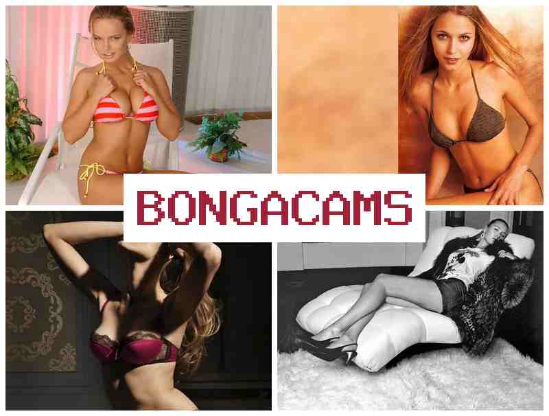 BBONGACAMS ▓ Webcam Show Sex Video