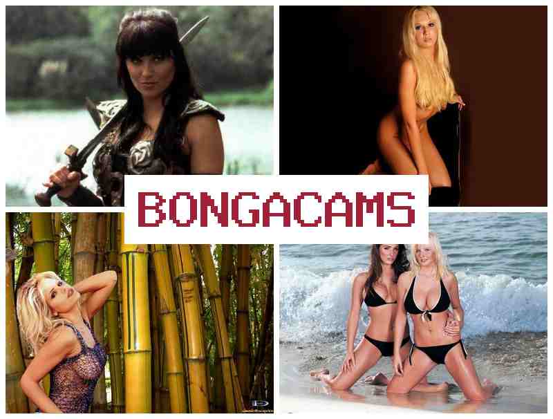BOGNA CAMS 🔞 Porno Webcam Sexy