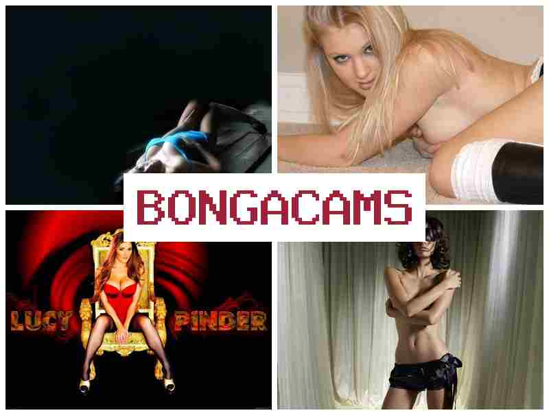 BONGA ACMS 🆒 Webcam Doggy Solo