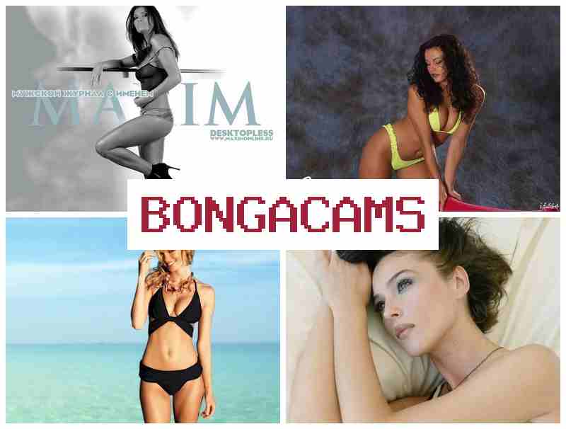 BONGA CASM 👍 Chat Jerk Video Chat
