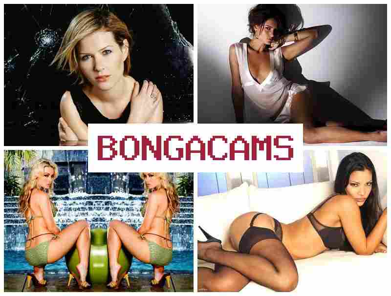 VONGA CAMS 🎇 Free Webcam